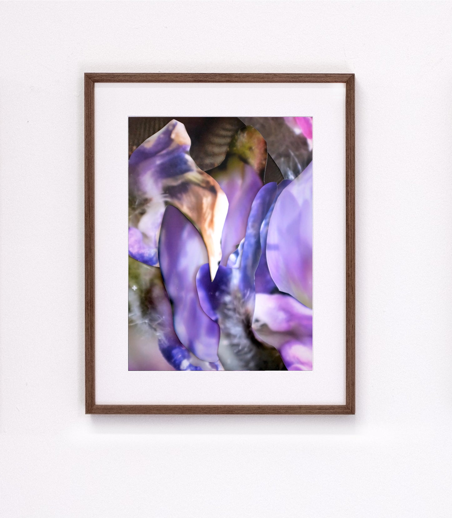 Michaela Putz - Untitled (Astragalus danicus) - Galerie Rudolf Leeb