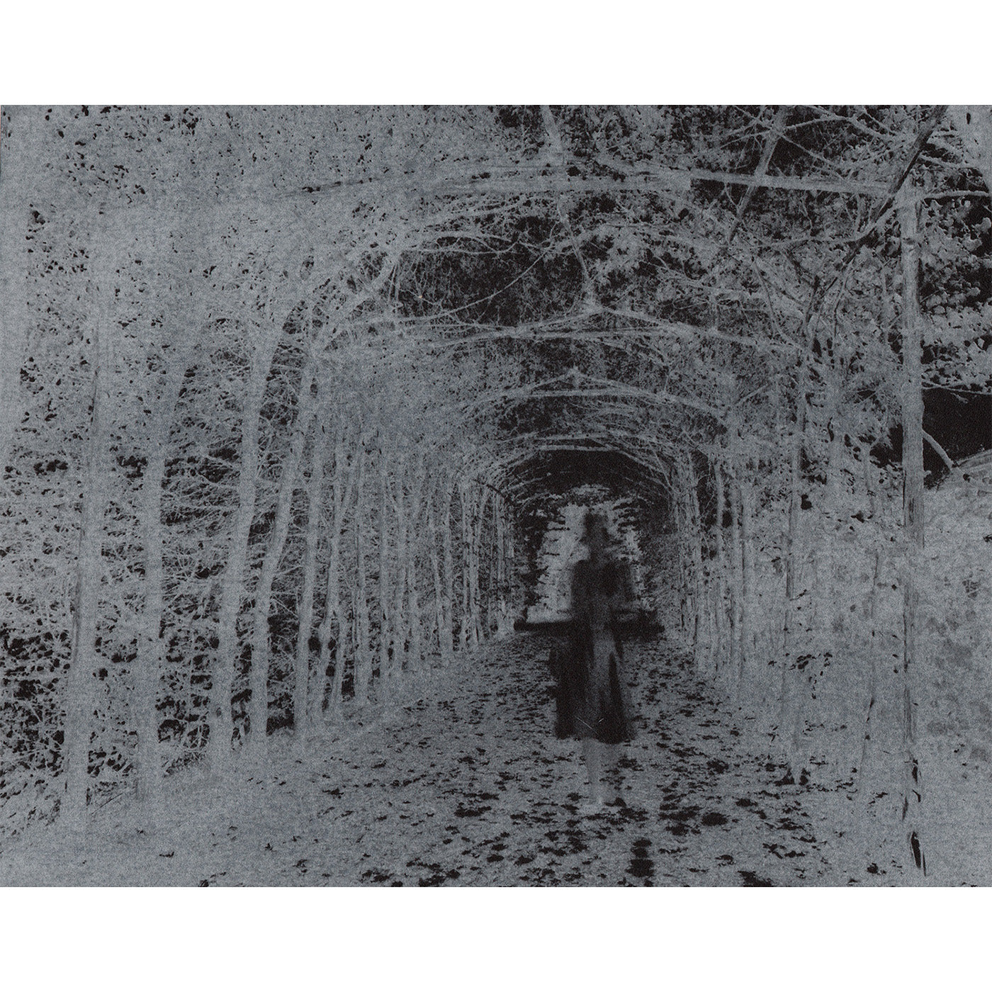 Birgit Graschopf - Untitled III - Galerie Rudolf Leeb