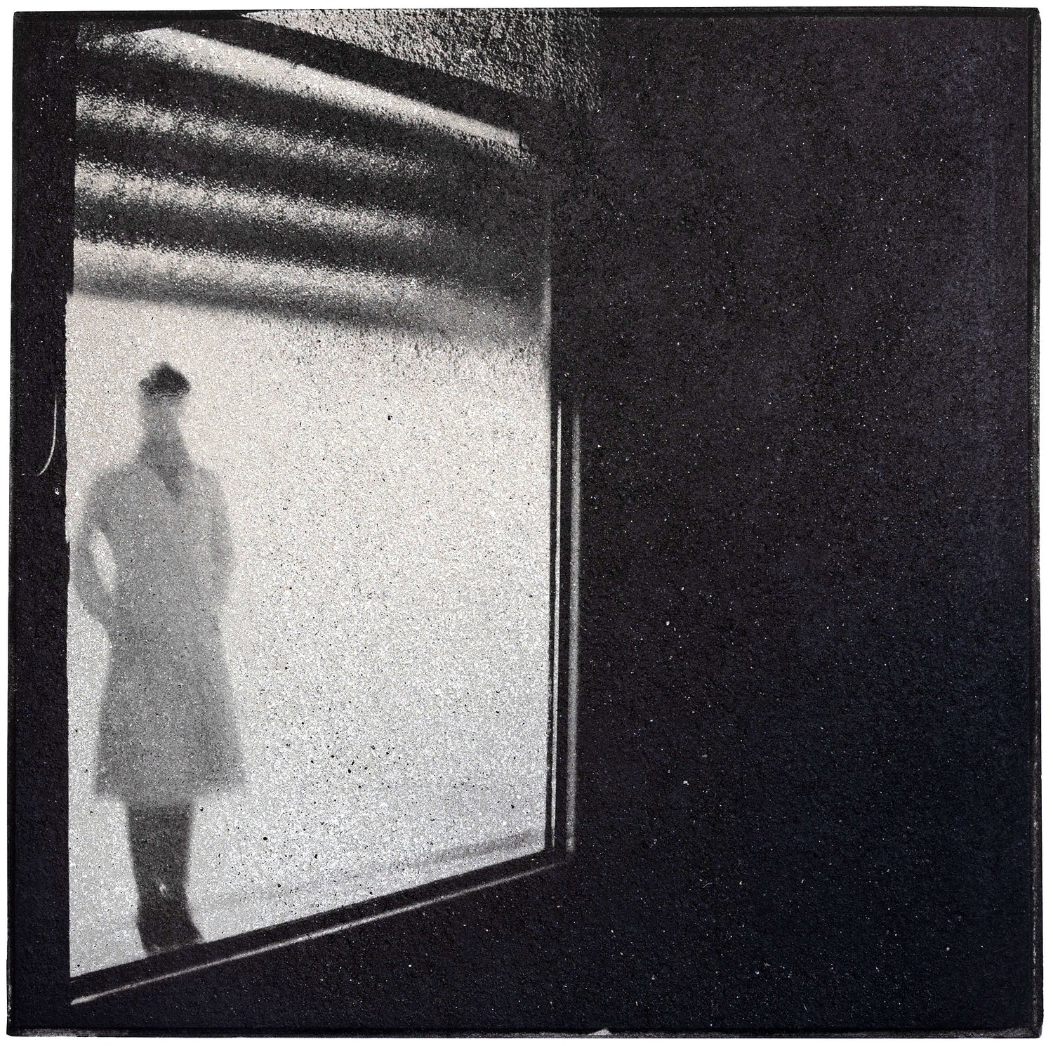 Birgit Graschopf - Light as a Feather 06 (ID 1739) - Rudolf Leeb Gallery