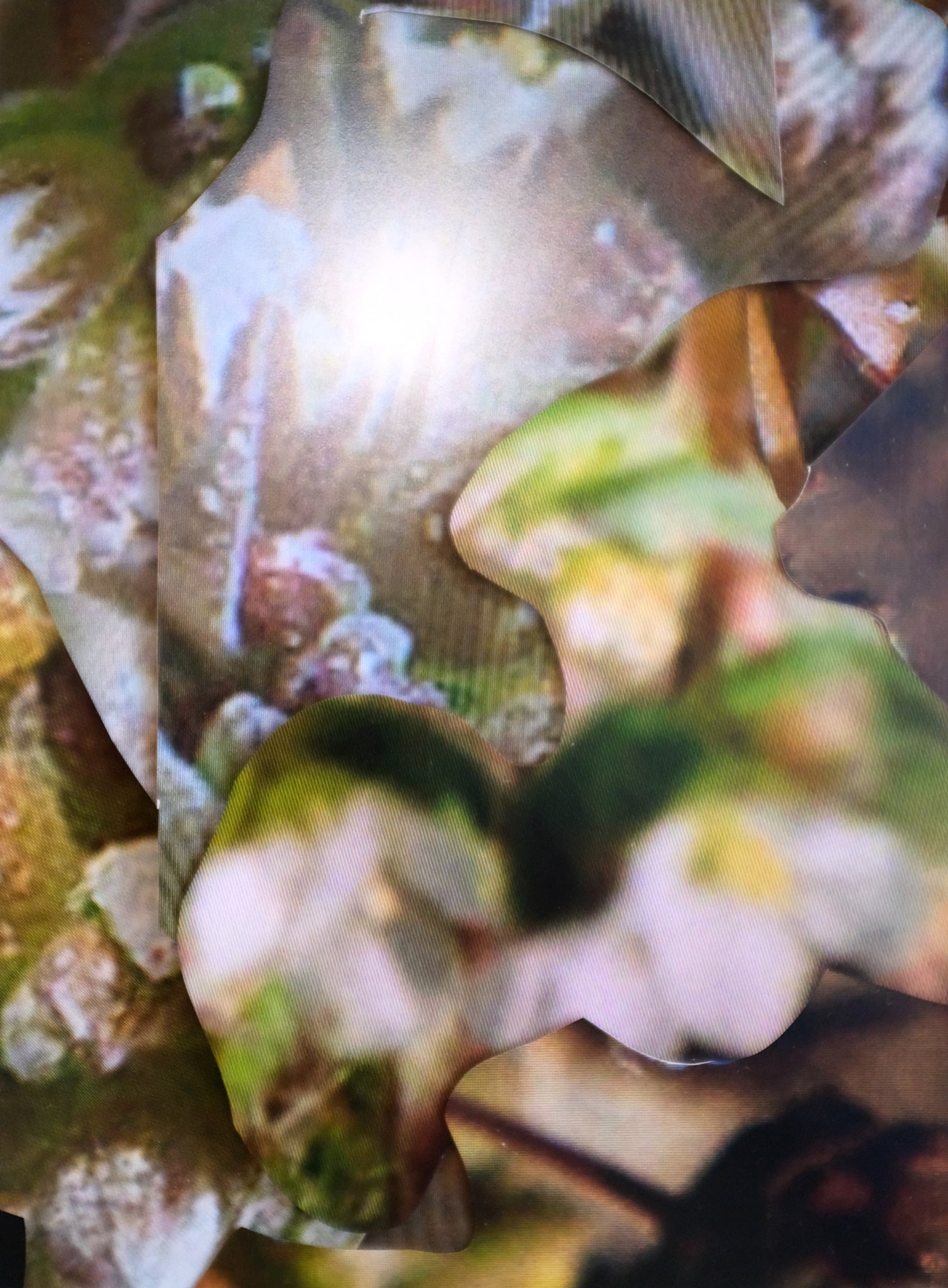 Michaela Putz - Untitled (Linum radiola) - Rudolf Leeb Gallery