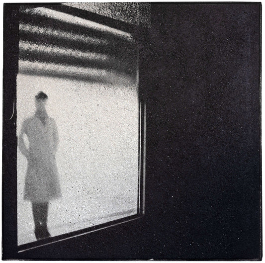 Birgit Graschopf - Federleicht 06 (ID 1739) - Galerie Rudolf Leeb