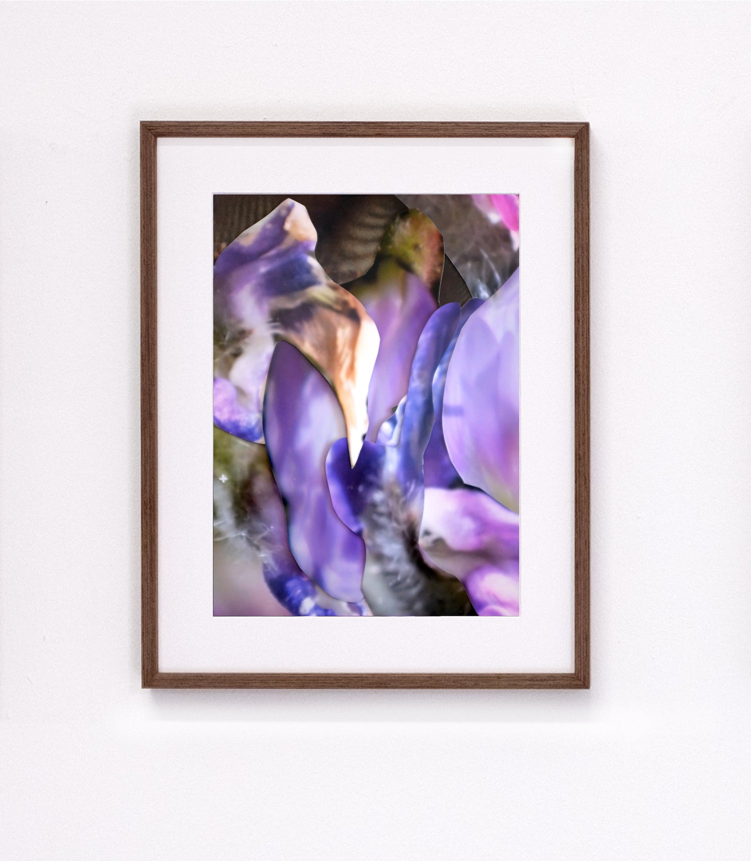 Michaela Putz - Untitled (Astragalus danicus) - Galerie Rudolf Leeb
