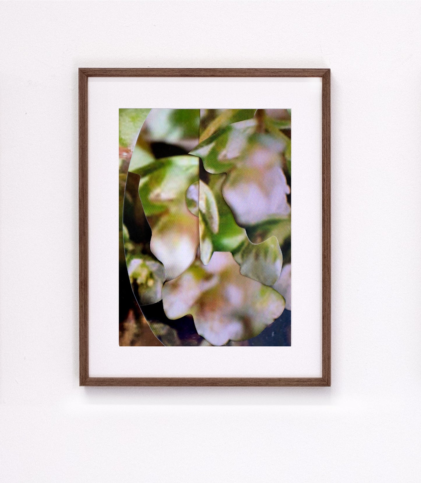 Michaela Putz - Untitled (Linum radiola) - Galerie Rudolf Leeb