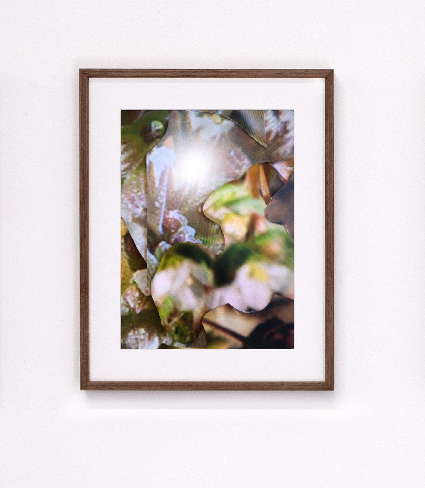 Michaela Putz - Untitled (Linum radiola) - Galerie Rudolf Leeb