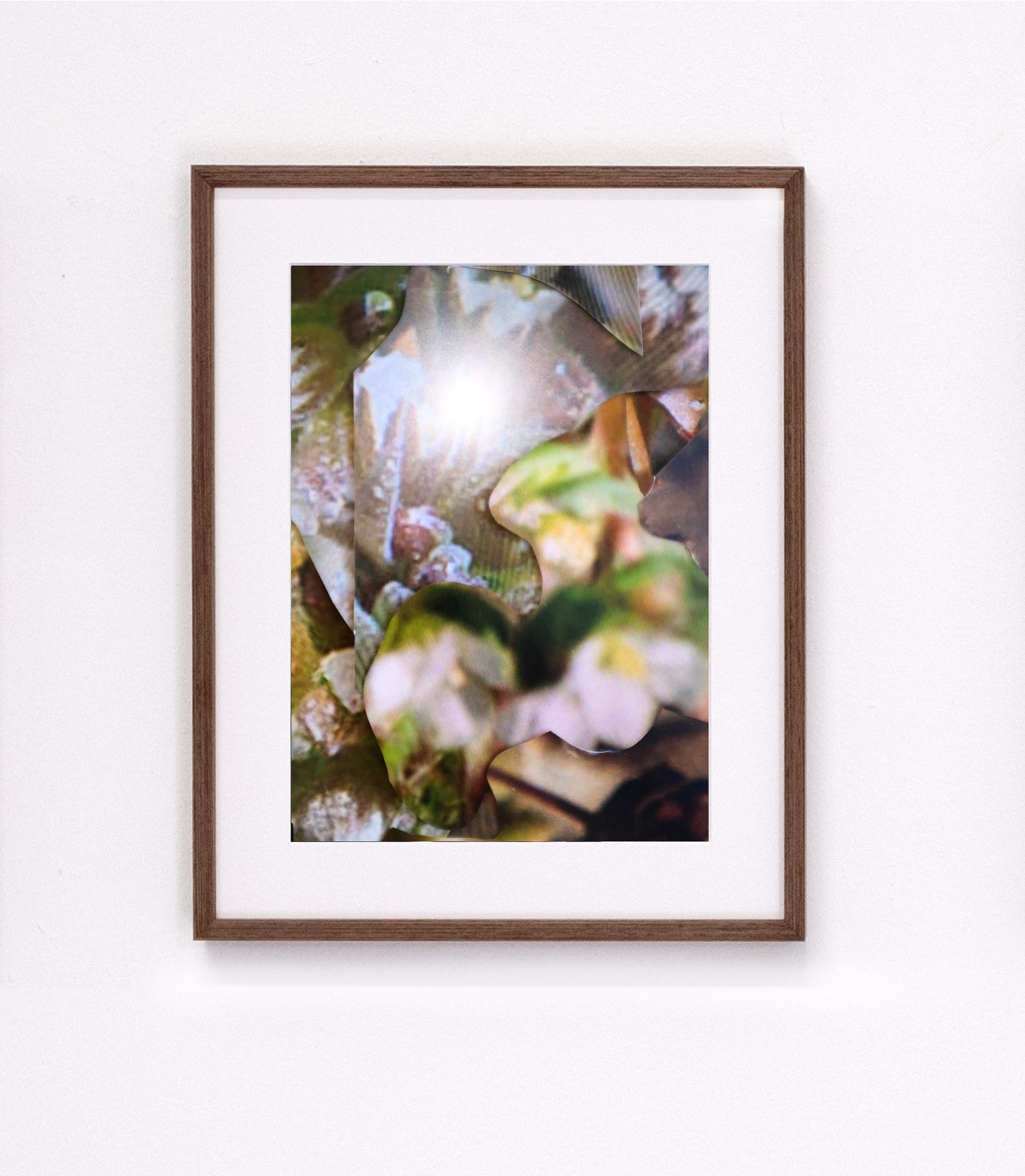 Michaela Putz - Untitled (Linum radiola) - Galerie Rudolf Leeb