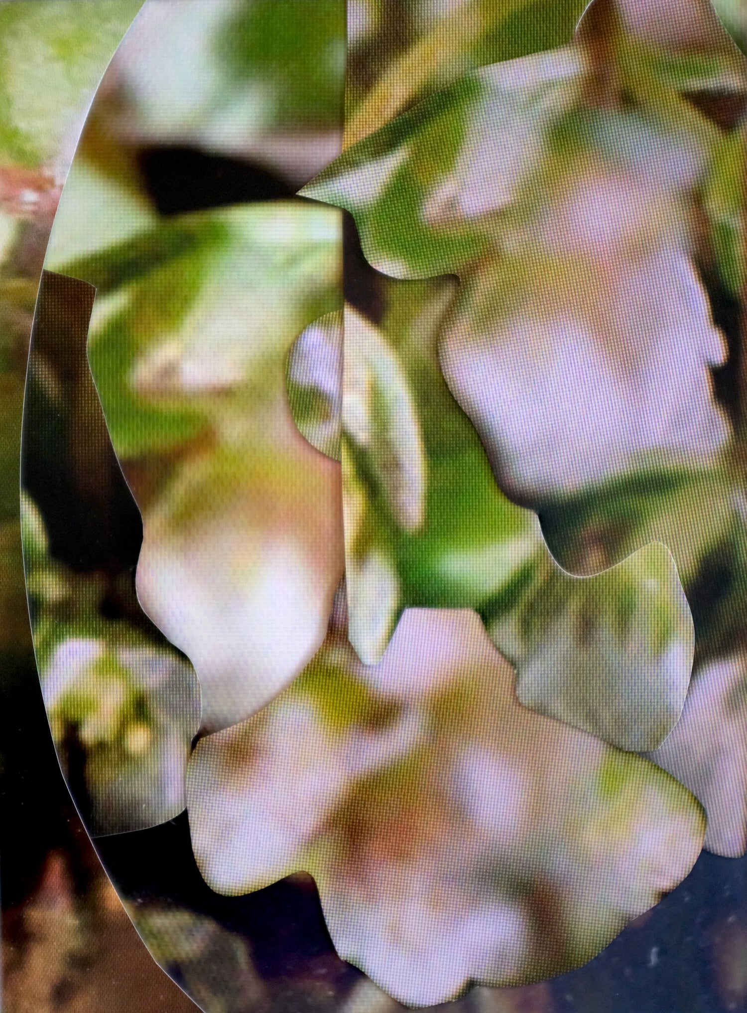 Michaela Putz - Untitled (Linum radiola) - Galerie Rudolf Leeb