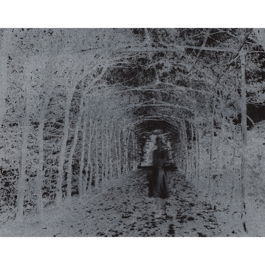Birgit Graschopf - Untitled III - Galerie Rudolf Leeb